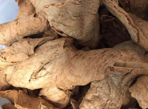 素皮絲 優缺點