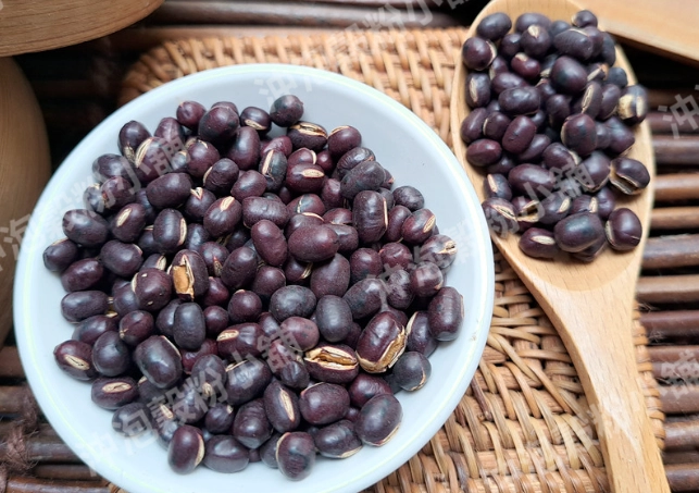 自製養生飲品 自製養生飲品