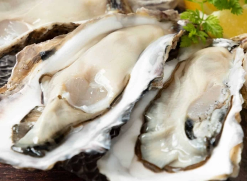 台灣牡蠣品種