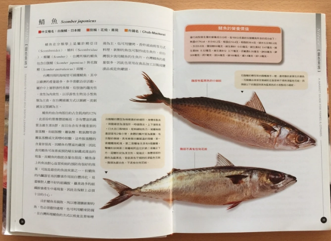 台灣菜市場魚類