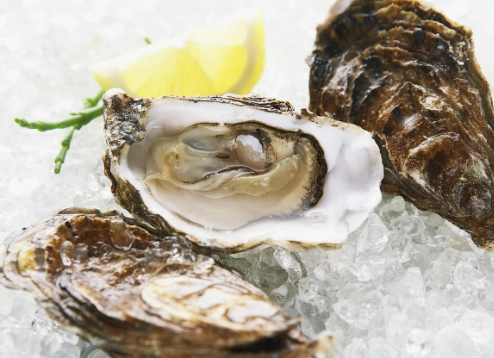 生蠔牡蠣如何分辨
