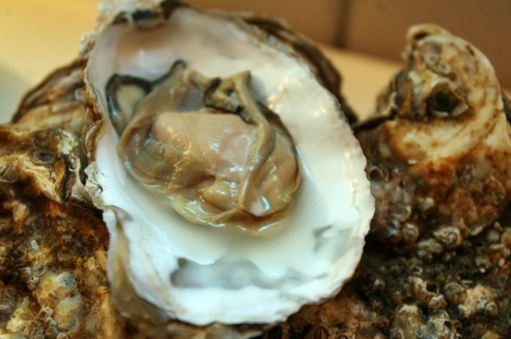 生蠣 生蠔 一樣嗎