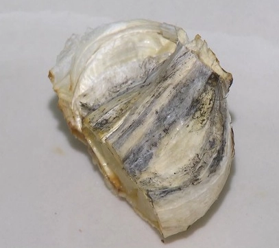 黑蒜發酵時間 黑蒜發酵時間