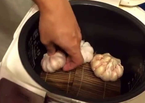 自製黑蒜頭 自製黑蒜頭