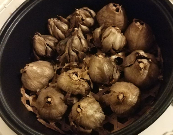 自製黑蒜頭 自製黑蒜頭