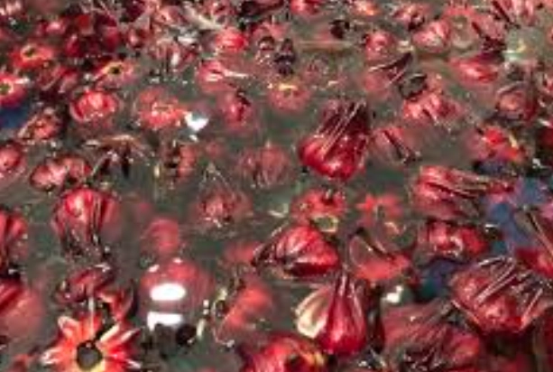 洛神花果醬 洛神花果醬