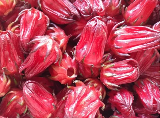 洛神花料理時間 洛神花料理時間