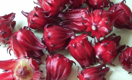 洛神花處理 洛神花處理