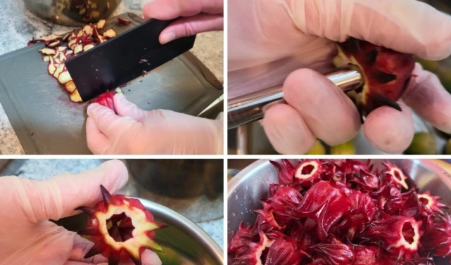 洛神花茶做法 洛神花茶做法