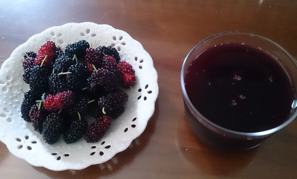 桑椹汁誰不能喝 桑椹汁誰不能喝