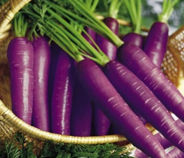 紫蘿蔔好處