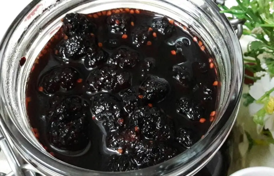 桑椹汁副作用 桑椹汁副作用