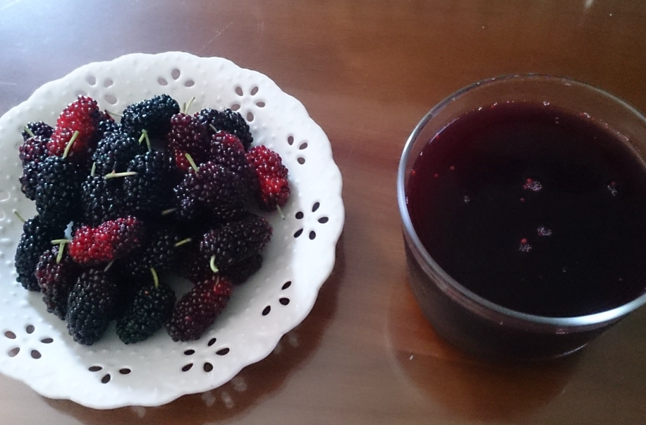 桑椹汁功效 桑椹汁功效