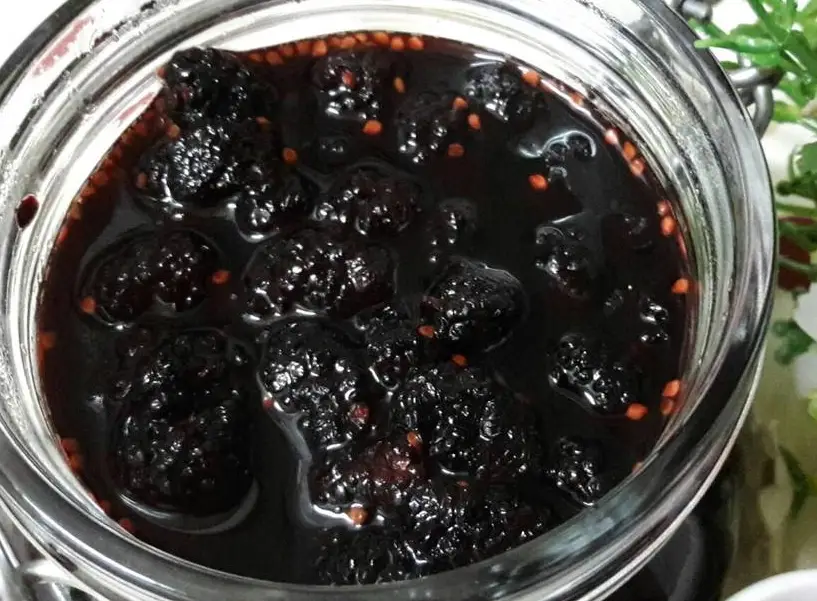 桑椹汁禁忌 桑椹汁禁忌