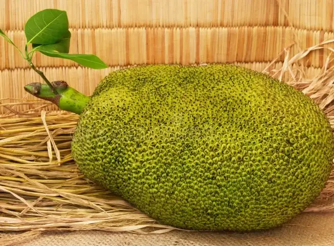 波羅蜜籽營養價值