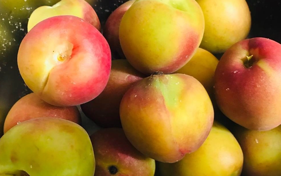 醃漬水蜜桃製作全攻略：從選桃到保存，一次學會不失敗