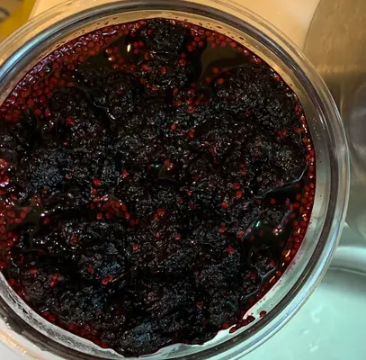 桑椹煮過營養流失 桑椹煮過營養流失