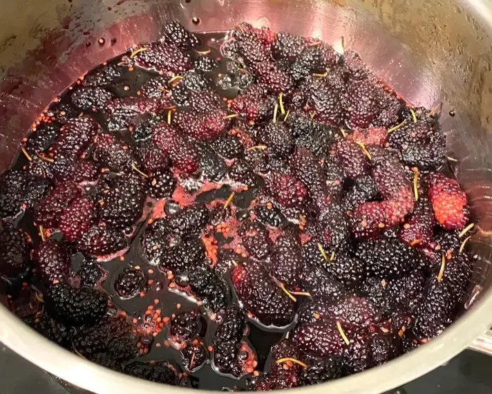 桑椹怎麼煮營養不流失 桑椹怎麼煮營養不流失