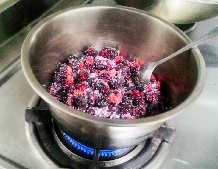 桑椹營養價值 桑椹營養價值