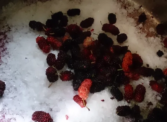 桑椹營養價值 桑椹營養價值