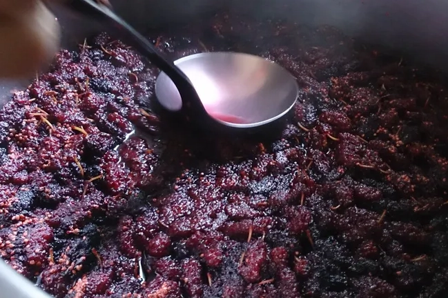 桑椹煮過營養流失 桑椹煮過營養流失