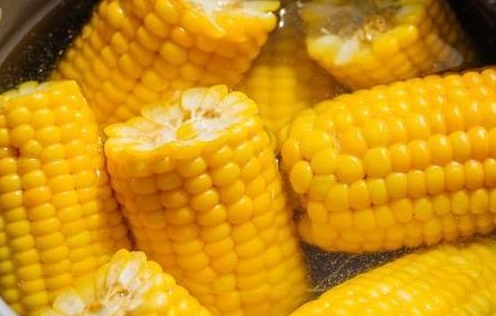 玉米皮煮水做法