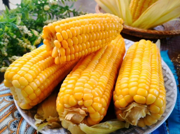 玉米要煮多久