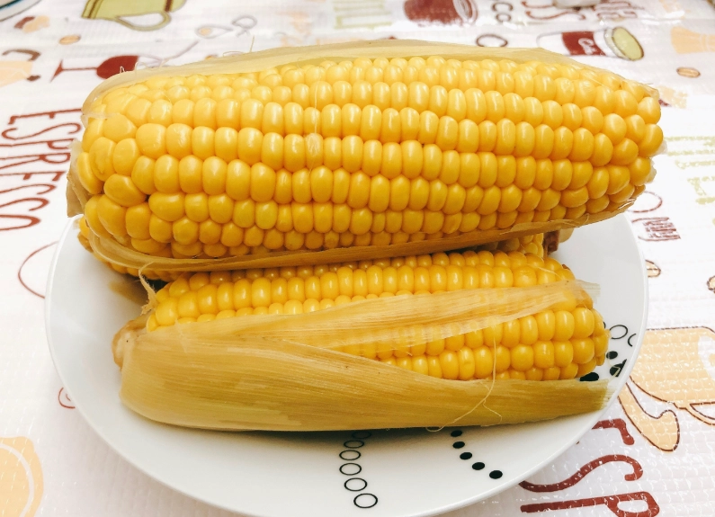 玉米要煮多久