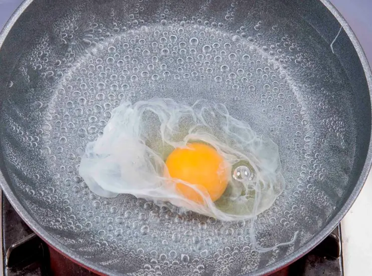 水波蛋食譜