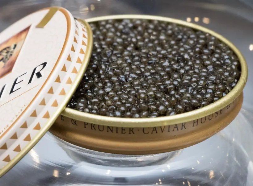 魚子醬吃法 魚子醬吃法