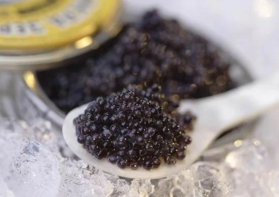 魚子醬推薦 魚子醬推薦