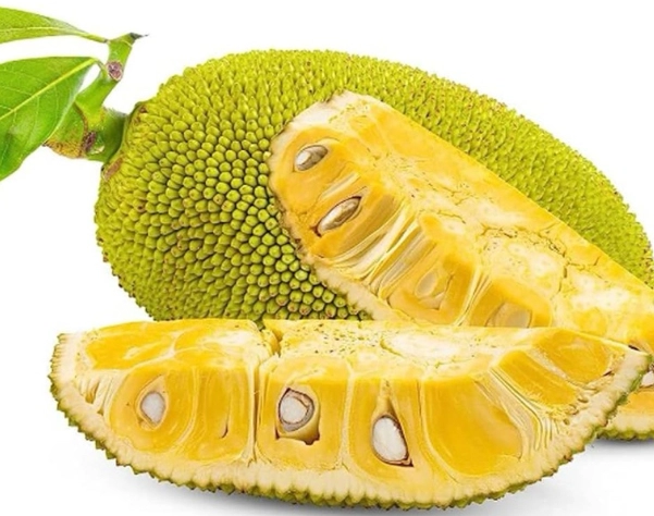 波羅蜜怎麼吃 波羅蜜怎麼吃