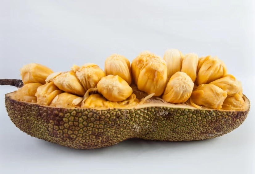 波羅蜜怎麼吃 波羅蜜怎麼吃