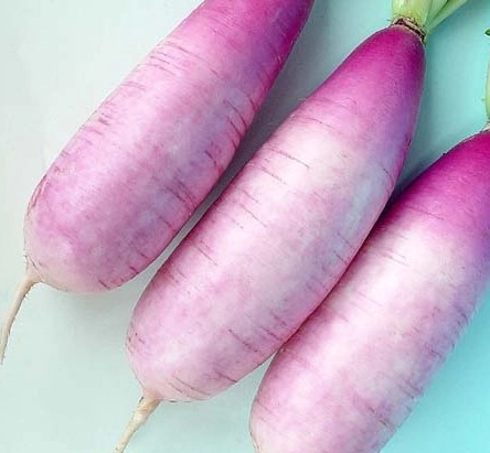 紫蘿蔔營養