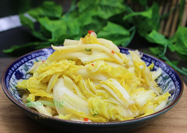 大白菜食譜