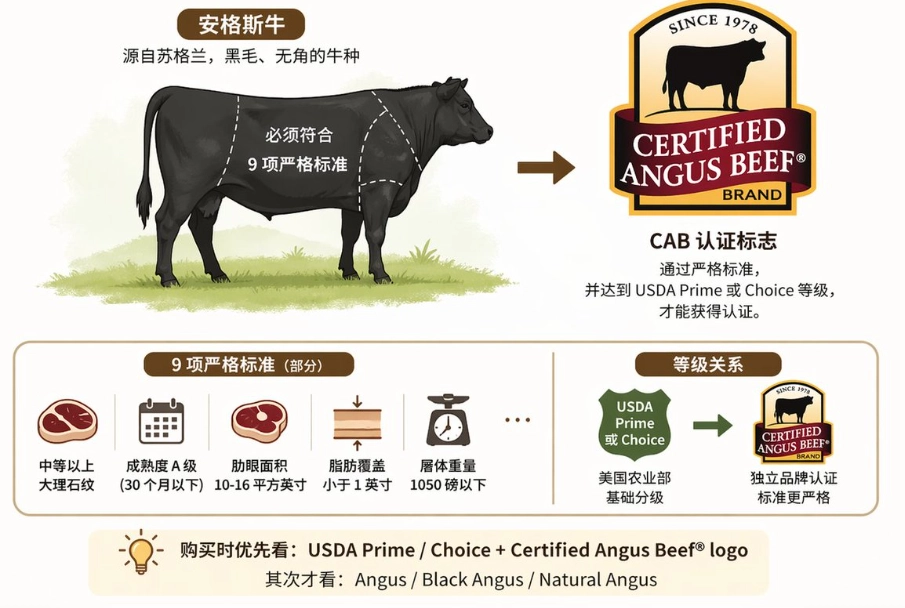美國牛肉等級 美國牛肉等級