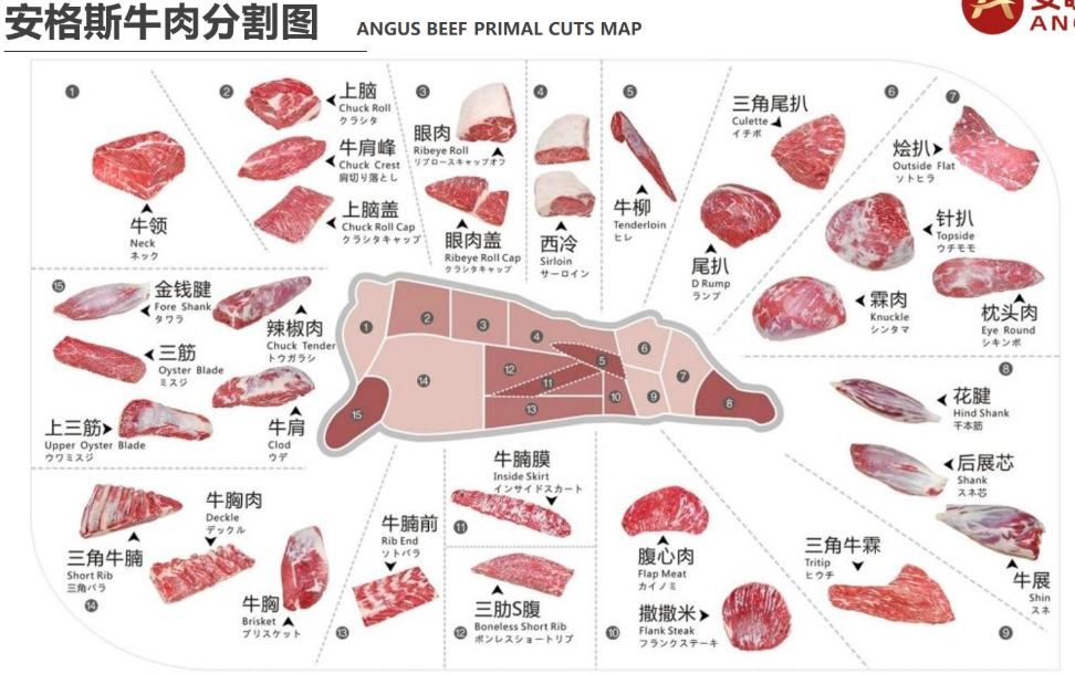 美國牛肉等級 美國牛肉等級