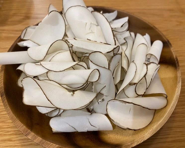 川貝百合海底椰湯