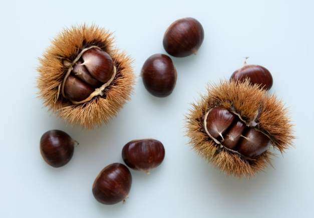 栗子健康益處 栗子健康益處