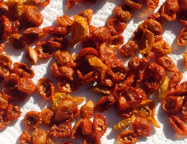 番茄乾食譜 番茄乾食譜