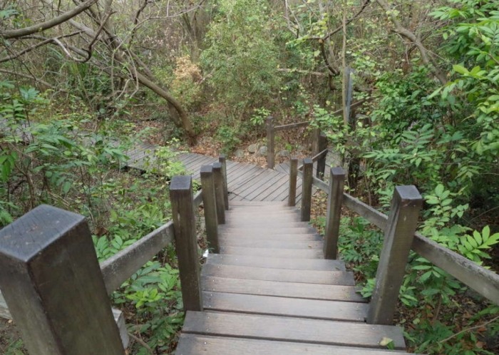 高雄左營景點推薦 高雄左營景點推薦