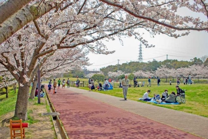 台中中興大學景點
