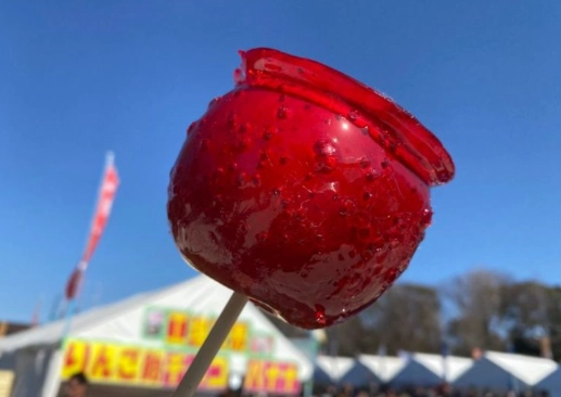 蘋果糖葫蘆做法 蘋果糖葫蘆做法