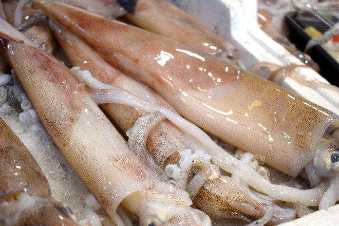 台灣大魷魚料理 台灣大魷魚料理