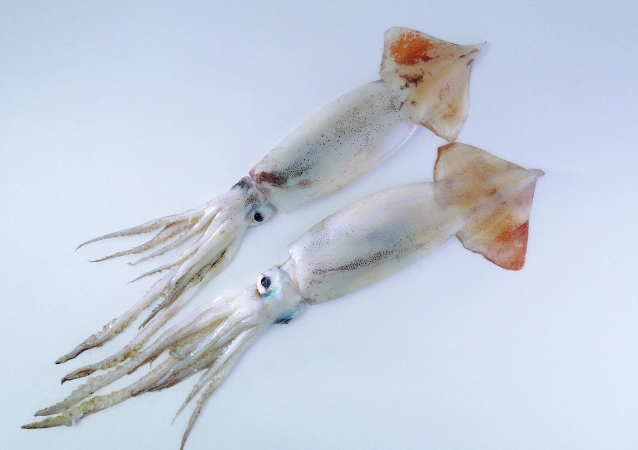 鹽水發泡技巧 鹽水發泡技巧