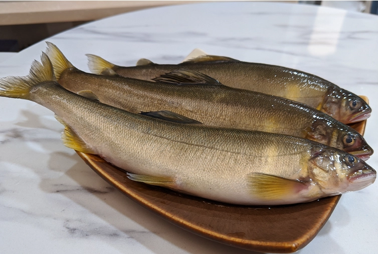 香魚食譜 香魚食譜