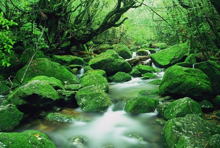 南九州旅遊攻略 南九州旅遊攻略