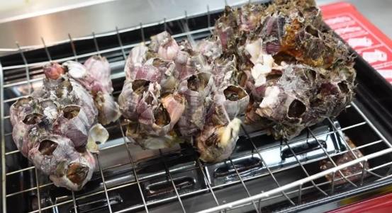 藤壺不可食部分 藤壺不可食部分