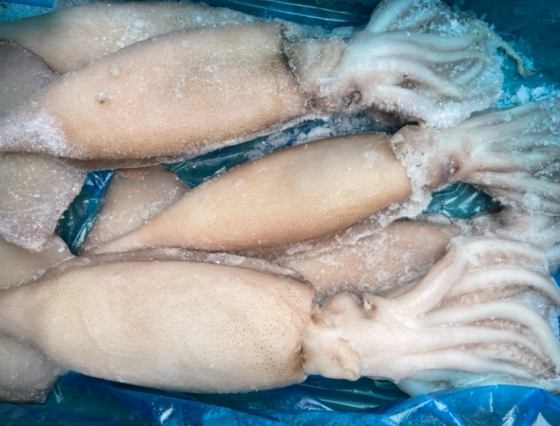 台灣大魷魚料理 台灣大魷魚料理