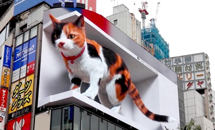 澀谷帶小孩去處 澀谷帶小孩去處